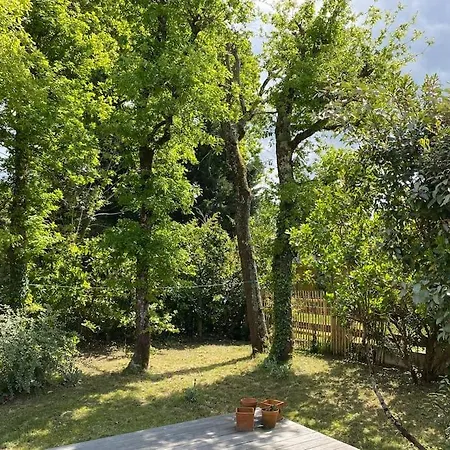 La Cantina, Piscine Villa Lege-Cap-Ferret